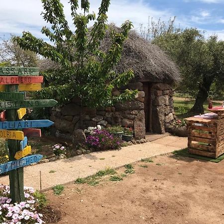 Azienda Agricola Affittacamere S'Ispinalba Di Laura Pitzolu Borore Exteriör bild