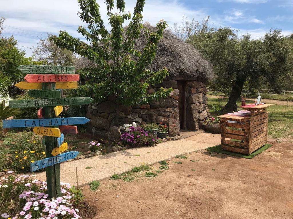 Azienda Agricola Affittacamere S'Ispinalba Di Laura Pitzolu Borore Exteriör bild